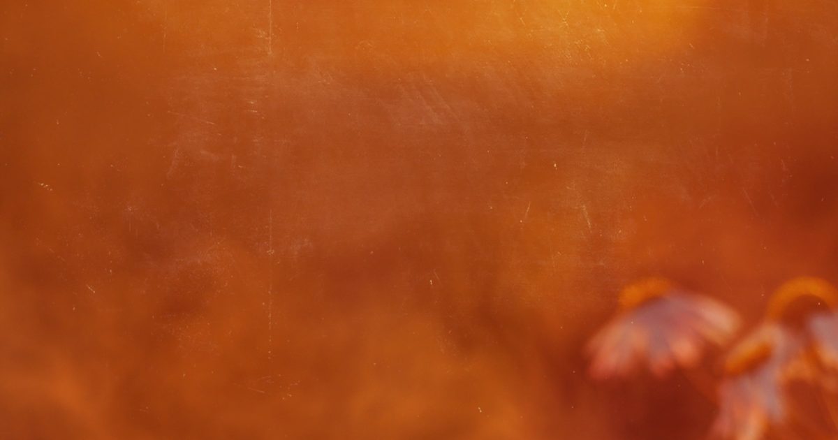 Autumn Blur Muted Still Background