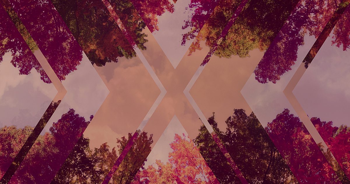 Fall Trees 7 Remix | Motion Video Background