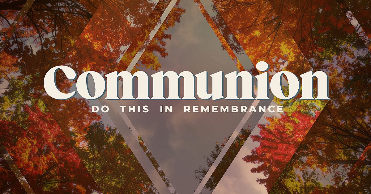 Fall Trees Communion Still | Still Background