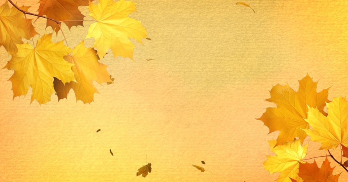 Fall Vol 1 Worship Still 04 | Still Background