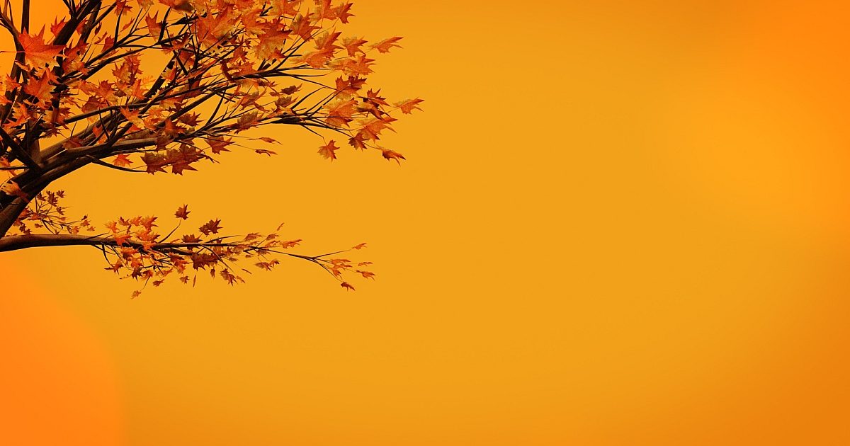 Fall Vol 1 Worship Still 05 | Still Background