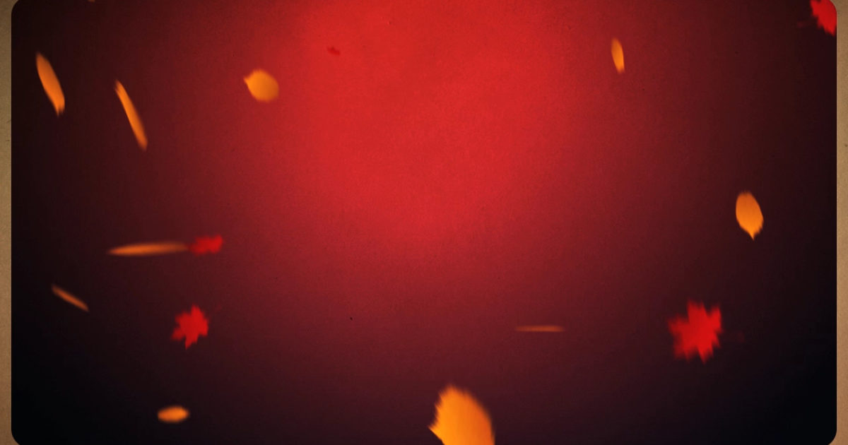 Falling Leaves 02 | Still Background