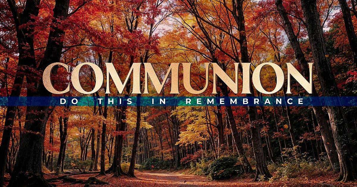 Fall Communion Sunday Forest Fall Communion Still | Still Background