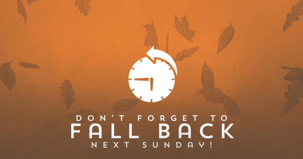 Fall Simple Back Painted Autumn Fall Back | Still Background