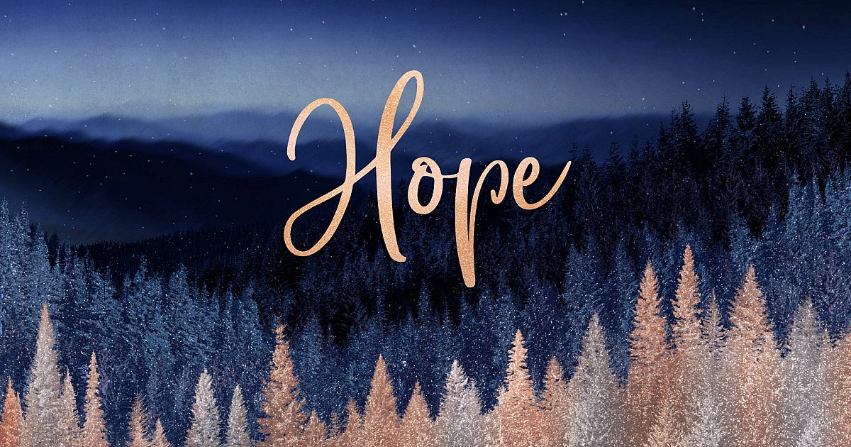 Sparkling Trees Hope Still | Still Background