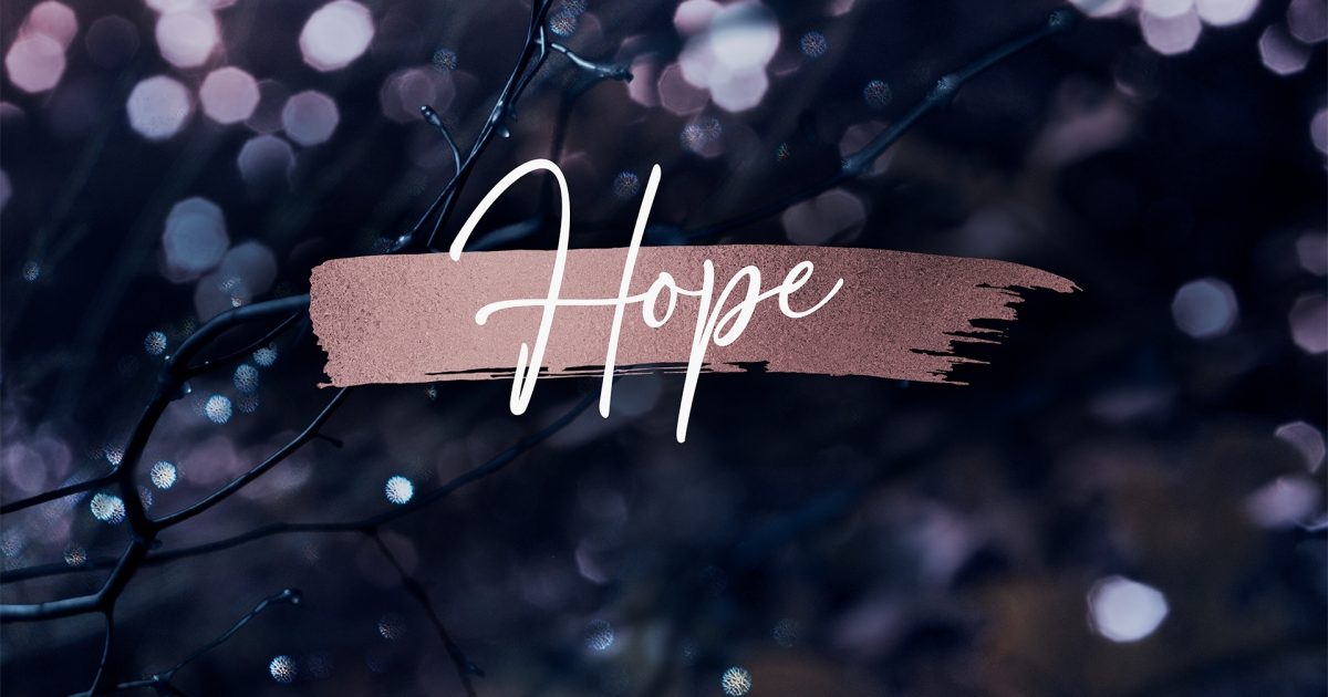Winter Frost Hope Still | Still Background