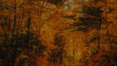 Autumn Vibes 1 Alt Still