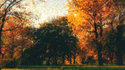 Autumn Vibes 3 Still