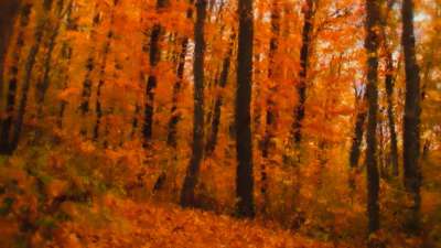 Autumn Vibes 4 Still