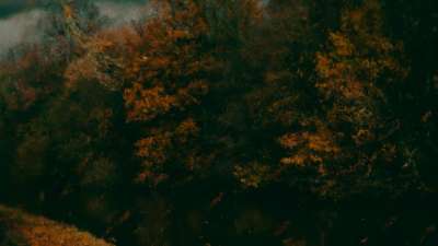 Autumn Vibes 5 Alt Still