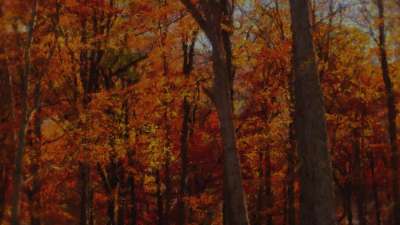 Autumn Vibes 7 Alt Still