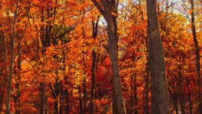 Autumn Vibes 7 Still