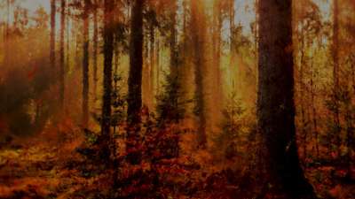 Autumn Vibes 8 Alt Still