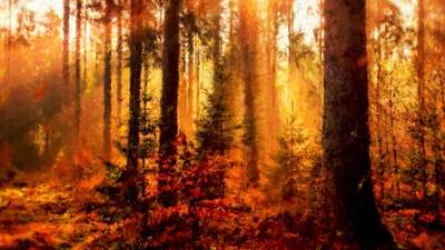 Autumn Vibes 8 Still