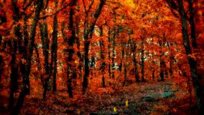 Autumn Vibes 9 Still