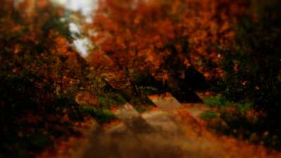 Autumns End 10 Still