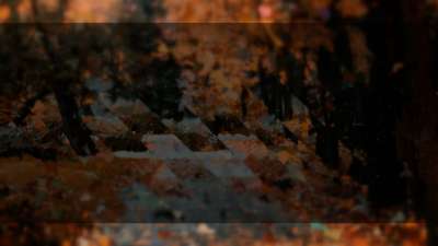 Autumns End 2 Alt Still