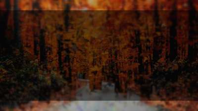 Autumns End 3 Alt Still