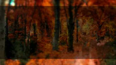 Autumns End 7 Alt Still