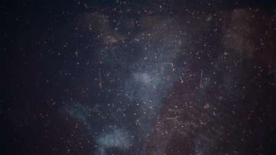 Christmas Elegance 11 Still