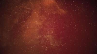 Christmas Elegance 12 Still