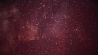 Christmas Elegance 13 Still