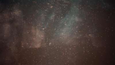 Christmas Elegance 14 Still