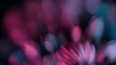 Christmas Ornamental 1 Still