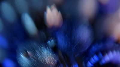 Christmas Ornamental 10 Still