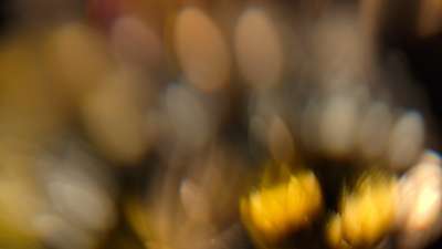 Christmas Ornamental 11 Still