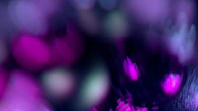 Christmas Ornamental 13 Still