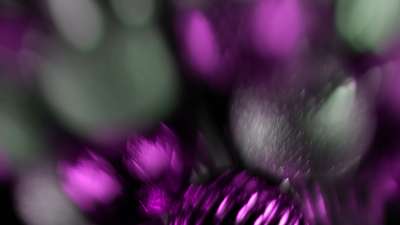 Christmas Ornamental 16 Still