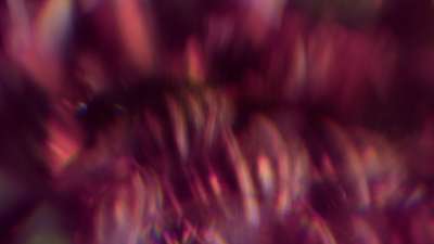 Christmas Ornamental 17 Still