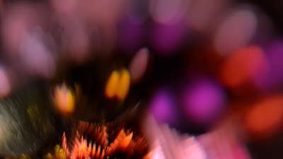 Christmas Ornamental 19 Still