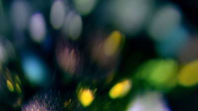 Christmas Ornamental 20 Still