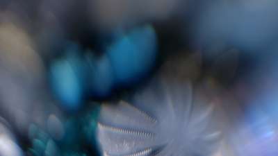 Christmas Ornamental 3 Still