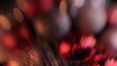 Christmas Ornamental 4 Still