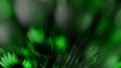 Christmas Ornamental 6 Still