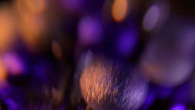 Christmas Ornamental 7 Still