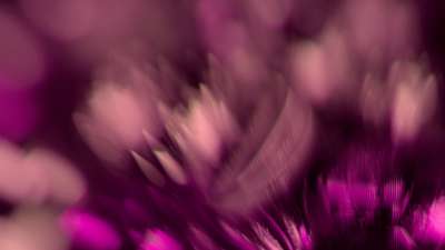 Christmas Ornamental 8 Still