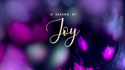 Christmas Ornamental Joy Still