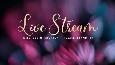 Christmas Ornamental Live Stream Still