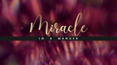 Christmas Ornamental Miracle Still