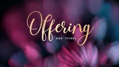 Christmas Ornamental Offering Still