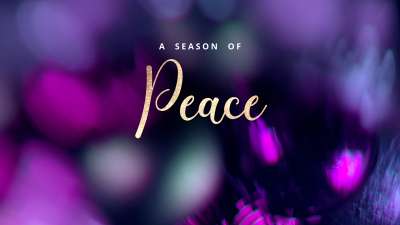 Christmas Ornamental Peace Still