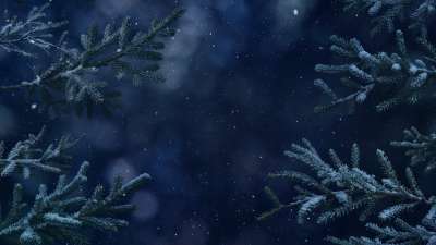 Christmas Wintertide 1 Still