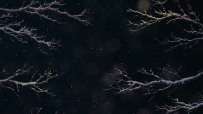 Christmas Wintertide 14 Still