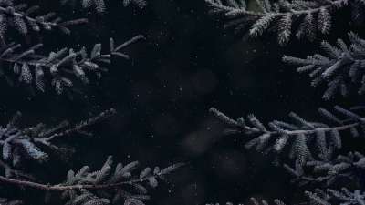 Christmas Wintertide 7 Still