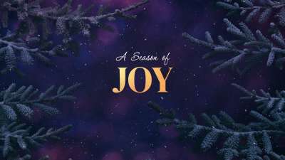 Christmas Wintertide Joy Still