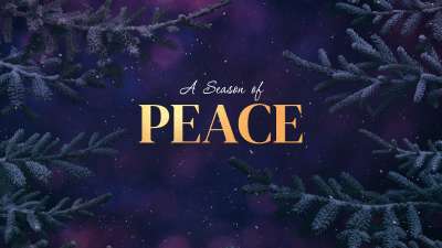 Christmas Wintertide Peace Still